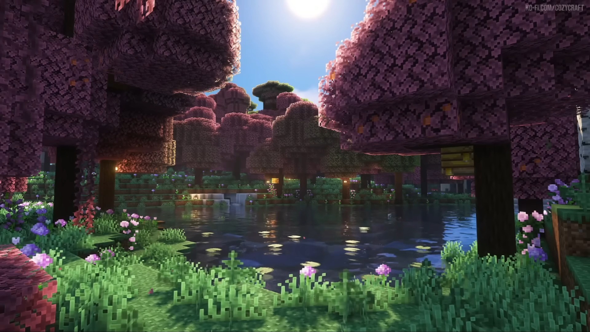 日落在福田的头像